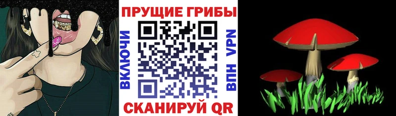 Галлюциногенные грибы прущие грибы  Асбест 
